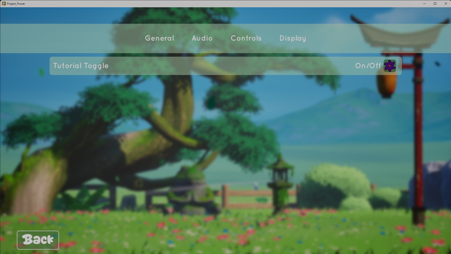 General settings, final in-engine result